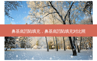鼻基底凹陷填充，鼻基底凹陷填充对比照