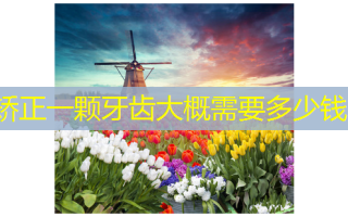 矫正一颗牙齿大概需要多少钱