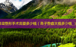 鼻梁整形手术需要多少钱（鼻子整容大概多少钱_）