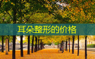 耳朵整形的价格