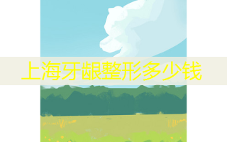 上海牙龈整形多少钱