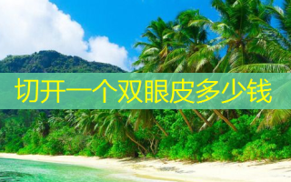 切开一个双眼皮多少钱