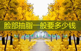 脸部抽脂一般要多少钱