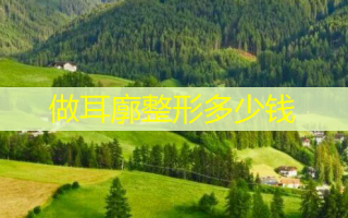 做耳廓整形多少钱