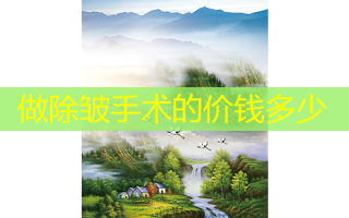 做除皱手术的价钱多少