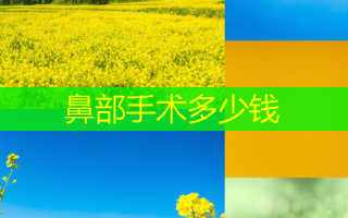 鼻部手术多少钱
