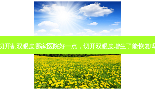 切开割双眼皮哪家医院好一点,切开双眼皮增生了能恢复吗-第1张图片-美美网 切开割双眼皮哪家医院好一点,切开双眼皮增生了能恢复吗-第1张图片-美美网