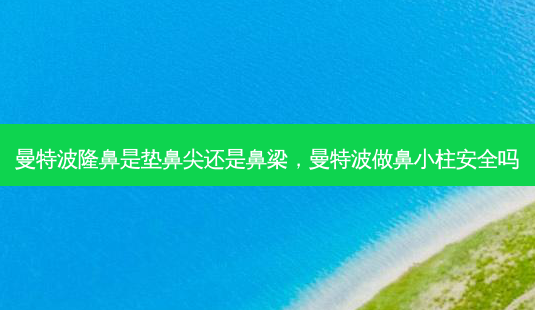曼特波隆鼻是垫鼻尖还是鼻梁,曼特波做鼻小柱 *** 吗-第1张图片-美美网 曼特波隆鼻是垫鼻尖还是鼻梁,曼特波做鼻小柱 *** 吗-第1张图片-美美网