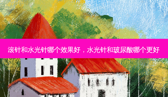 滚针和水光针哪个效果好,水光针和玻尿酸哪个更好-第1张图片-美美网 滚针和水光针哪个效果好,水光针和玻尿酸哪个更好-第1张图片-美美网