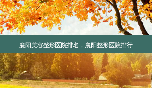 襄阳美容整形医院排名,襄阳整形医院排行-第1张图片-美美网 襄阳美容整形医院排名,襄阳整形医院排行-第1张图片-美美网