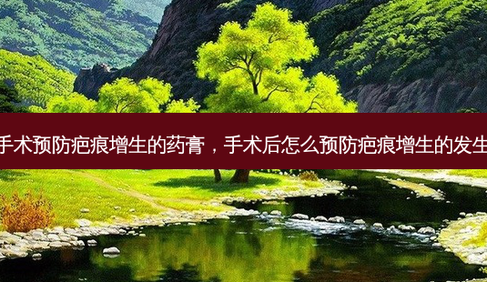 手术预防疤痕增生的药膏,手术后怎么预防疤痕增生的发生-第1张图片-美美网 手术预防疤痕增生的药膏,手术后怎么预防疤痕增生的发生-第1张图片-美美网