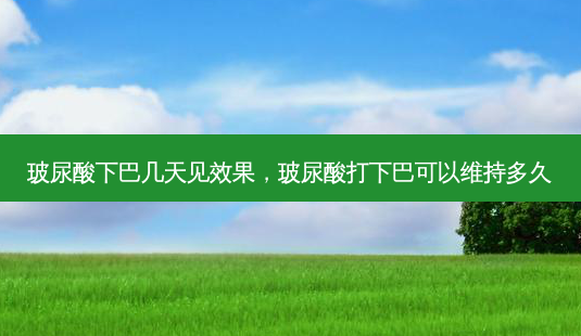 玻尿酸下巴几天见效果,玻尿酸打下巴可以维持多久-第1张图片-美美网 玻尿酸下巴几天见效果,玻尿酸打下巴可以维持多久-第1张图片-美美网