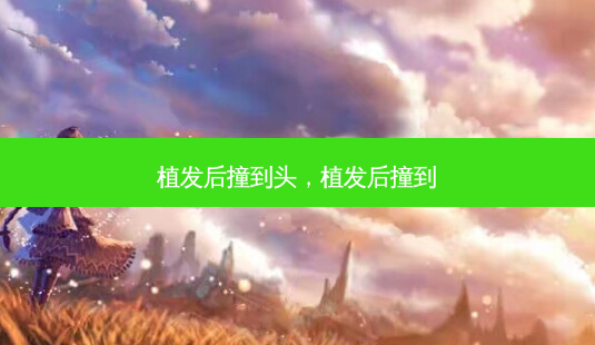 植发后撞到头,植发后撞到-第1张图片-美美网 植发后撞到头,植发后撞到-第1张图片-美美网