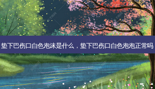 垫下巴伤口白色泡沫是什么,垫下巴伤口白色泡泡正常吗-第1张图片-美美网 垫下巴伤口白色泡沫是什么,垫下巴伤口白色泡泡正常吗-第1张图片-美美网