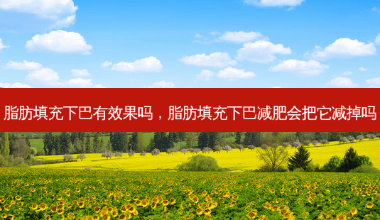 脂肪填充下巴有效果吗，脂肪填充下巴减肥会把它减掉吗-第1张图片-美美网