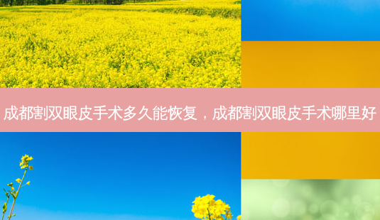 成都割双眼皮手术多久能恢复,成都割双眼皮手术哪里好-第1张图片-美美网 成都割双眼皮手术多久能恢复,成都割双眼皮手术哪里好-第1张图片-美美网