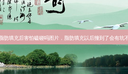 脂肪填充后害怕磕碰吗图片,脂肪填充以后撞到了会有坑不-第1张图片-美美网 脂肪填充后害怕磕碰吗图片,脂肪填充以后撞到了会有坑不-第1张图片-美美网
