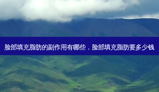 脸部填充脂肪的副作用有哪些,脸部填充脂肪要多少钱-第1张图片-美美网 脸部填充脂肪的副作用有哪些,脸部填充脂肪要多少钱-第1张图片-美美网