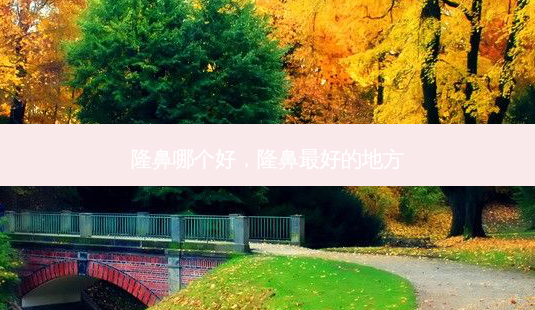 隆鼻哪个好,隆鼻 *** 好的地方-第1张图片-美美网 隆鼻哪个好,隆鼻 *** 好的地方-第1张图片-美美网