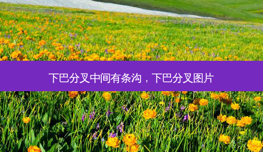 下巴分叉中间有条沟,下巴分叉图片-第1张图片-美美网 下巴分叉中间有条沟,下巴分叉图片-第1张图片-美美网