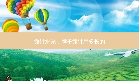 微针水光,脖子微针用多长的-第1张图片-美美网 微针水光,脖子微针用多长的-第1张图片-美美网
