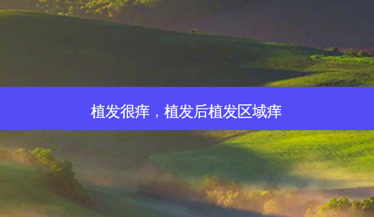 植发很痒,植发后植发区域痒-第1张图片-美美网 植发很痒,植发后植发区域痒-第1张图片-美美网
