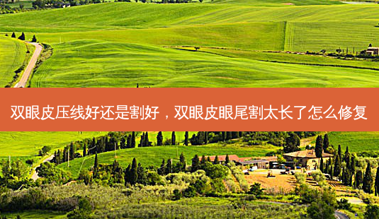 双眼皮压线好还是割好,双眼皮眼尾割太长了怎么修复-第1张图片-美美网 双眼皮压线好还是割好,双眼皮眼尾割太长了怎么修复-第1张图片-美美网