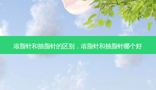 溶脂针和抽脂针的区别,溶脂针和抽脂针哪个好-第1张图片-美美网 溶脂针和抽脂针的区别,溶脂针和抽脂针哪个好-第1张图片-美美网