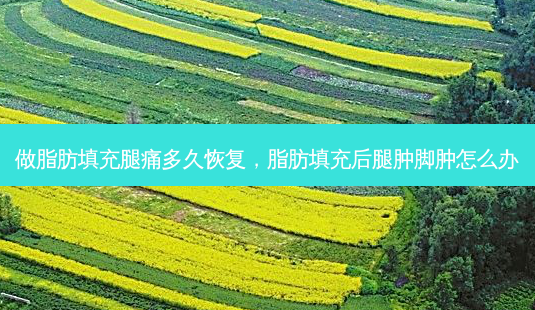 做脂肪填充腿痛多久恢复,脂肪填充后腿肿脚肿怎么办-第1张图片-美美网 做脂肪填充腿痛多久恢复,脂肪填充后腿肿脚肿怎么办-第1张图片-美美网