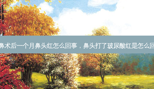 隆鼻术后一个月鼻头红怎么回事,鼻头打了玻尿酸红是怎么回事-第1张图片-美美网 隆鼻术后一个月鼻头红怎么回事,鼻头打了玻尿酸红是怎么回事-第1张图片-美美网