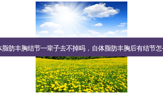 自体脂肪丰胸结节一辈子去不掉吗,自体脂肪丰胸后有结节怎么办-第1张图片-美美网 自体脂肪丰胸结节一辈子去不掉吗,自体脂肪丰胸后有结节怎么办-第1张图片-美美网