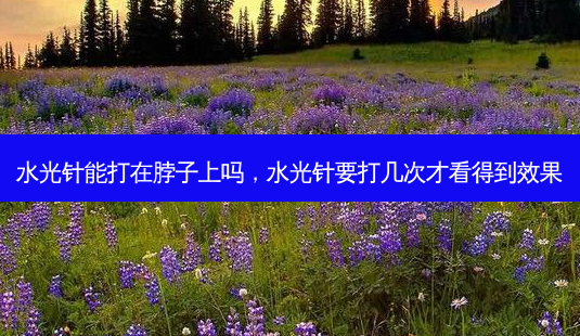 水光针能打在脖子上吗,水光针要打几次才看得到效果-第1张图片-美美网 水光针能打在脖子上吗,水光针要打几次才看得到效果-第1张图片-美美网