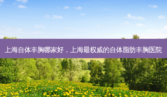 上海自体丰胸哪家好,上海 *** *** 的自体脂肪丰胸医院-第1张图片-美美网 上海自体丰胸哪家好,上海 *** *** 的自体脂肪丰胸医院-第1张图片-美美网