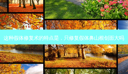 这种假体修复术的特点是,只修复假体鼻山根创面大吗-第1张图片-美美网 这种假体修复术的特点是,只修复假体鼻山根创面大吗-第1张图片-美美网
