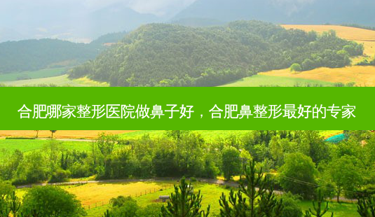 合肥哪家整形医院做鼻子好,合肥鼻整形 *** 好的专家-第1张图片-美美网 合肥哪家整形医院做鼻子好,合肥鼻整形 *** 好的专家-第1张图片-美美网
