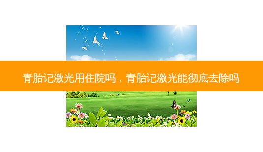 青胎记激光用住院吗,青胎记激光能彻底去除吗-第1张图片-美美网 青胎记激光用住院吗,青胎记激光能彻底去除吗-第1张图片-美美网