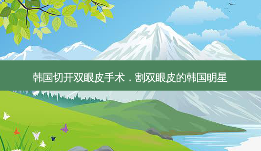 韩国切开双眼皮手术,割双眼皮的韩国明星-第1张图片-美美网 韩国切开双眼皮手术,割双眼皮的韩国明星-第1张图片-美美网