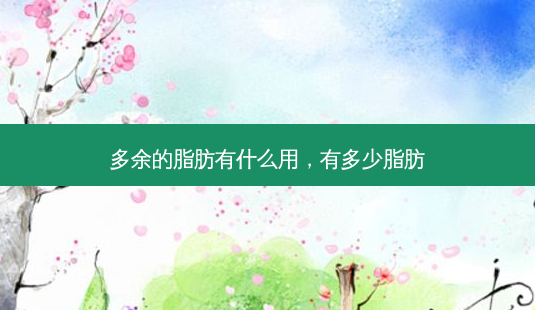 多余的脂肪有什么用,有多少脂肪-第1张图片-美美网 多余的脂肪有什么用,有多少脂肪-第1张图片-美美网