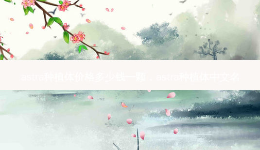 astra种植体价格多少钱一颗,astra种植体中文名-第1张图片-美美网 astra种植体价格多少钱一颗,astra种植体中文名-第1张图片-美美网
