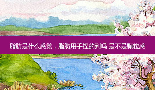 脂肪是什么感觉,脂肪用手捏的到吗 是不是颗粒感-第1张图片-美美网 脂肪是什么感觉,脂肪用手捏的到吗 是不是颗粒感-第1张图片-美美网