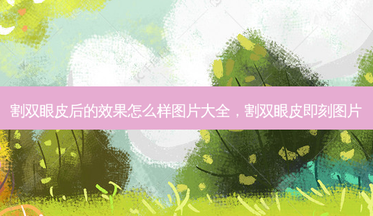 割双眼皮后的效果怎么样图片大全,割双眼皮 *** 图片-第1张图片-美美网 割双眼皮后的效果怎么样图片大全,割双眼皮 *** 图片-第1张图片-美美网