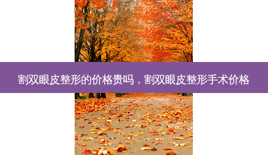 割双眼皮整形的价格贵吗,割双眼皮整形手术价格-第1张图片-美美网 割双眼皮整形的价格贵吗,割双眼皮整形手术价格-第1张图片-美美网