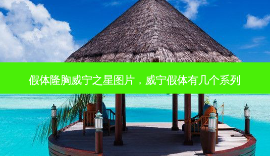 假体隆胸威宁之星图片,威宁假体有几个系列-第1张图片-美美网 假体隆胸威宁之星图片,威宁假体有几个系列-第1张图片-美美网