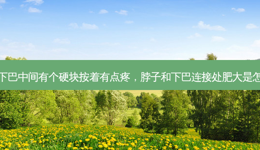 脖子和下巴中间有个硬块按着有点疼,脖子和下巴连接处肥大是怎么回事-第1张图片-美美网 脖子和下巴中间有个硬块按着有点疼,脖子和下巴连接处肥大是怎么回事-第1张图片-美美网
