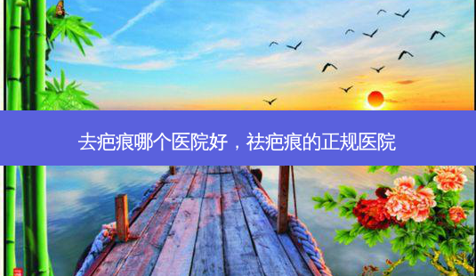 去疤痕哪个医院好,祛疤痕的正规医院-第1张图片-美美网 去疤痕哪个医院好,祛疤痕的正规医院-第1张图片-美美网