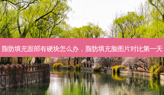 脂肪填充面部有硬块怎么办,脂肪填充脸图片对比第一天-第1张图片-美美网 脂肪填充面部有硬块怎么办,脂肪填充脸图片对比第一天-第1张图片-美美网