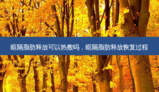 眶隔脂肪释放可以热敷吗,眶隔脂肪释放恢复过程-第1张图片-美美网 眶隔脂肪释放可以热敷吗,眶隔脂肪释放恢复过程-第1张图片-美美网
