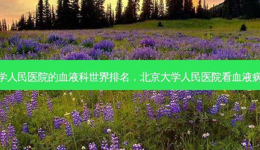 北京大学人民医院的血液科世界排名,北京大学人民医院看血液病怎么样-第1张图片-美美网 北京大学人民医院的血液科世界排名,北京大学人民医院看血液病怎么样-第1张图片-美美网