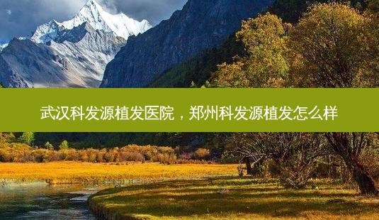 武汉科发源植发医院,郑州科发源植发怎么样-第1张图片-美美网 武汉科发源植发医院,郑州科发源植发怎么样-第1张图片-美美网