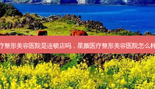 星颜医疗整形美容医院是连锁店吗,星颜医疗整形美容医院怎么样可靠吗-第1张图片-美美网 星颜医疗整形美容医院是连锁店吗,星颜医疗整形美容医院怎么样可靠吗-第1张图片-美美网